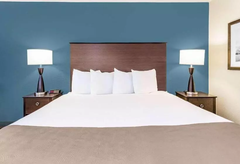 身障者適用キングサイズベッドルーム, Americinn & Suites Burnsville, Mn