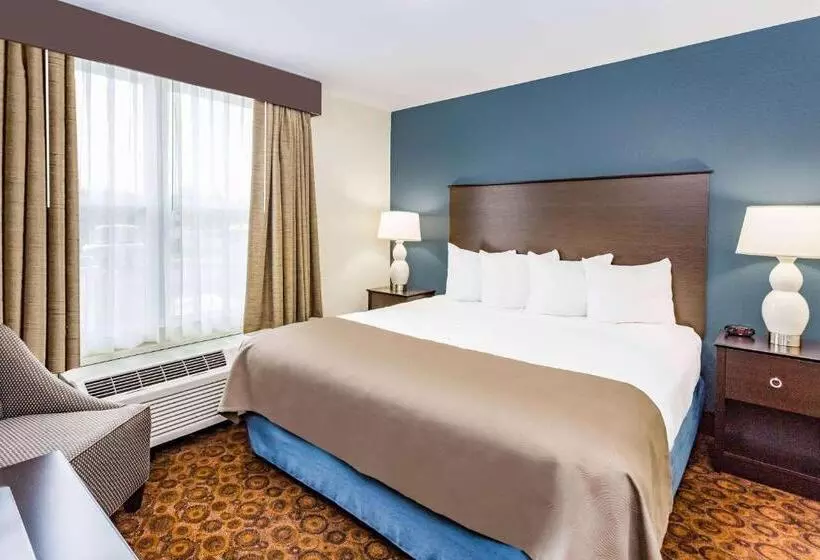 身障者適用キングサイズベッドルーム, Americinn & Suites Burnsville, Mn