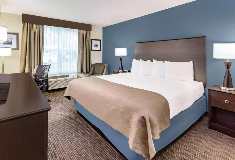 身障者適用キングサイズベッドルーム, Americinn & Suites Burnsville, Mn