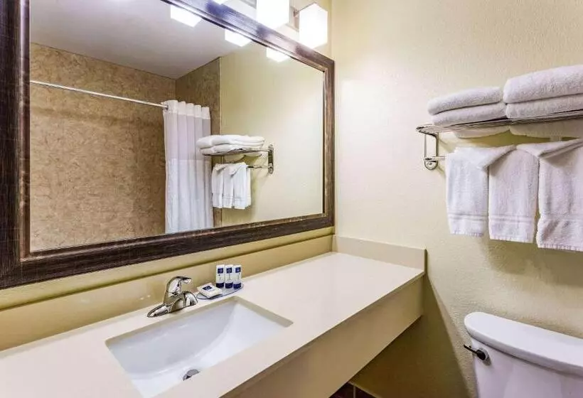 身障者適用スタンダードルーム, Americinn & Suites Burnsville, Mn