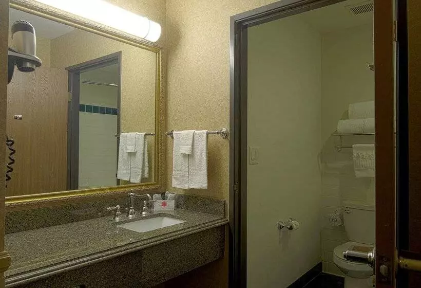 اتاق سوپریور, Azure Hotel&suites Ontario Trademark Collection By Wyndham