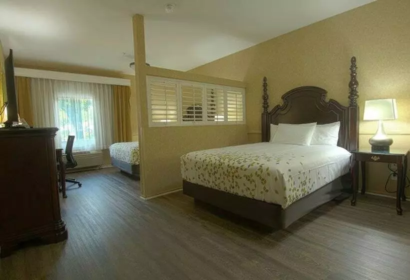 اتاق سوپریور, Azure Hotel&suites Ontario Trademark Collection By Wyndham