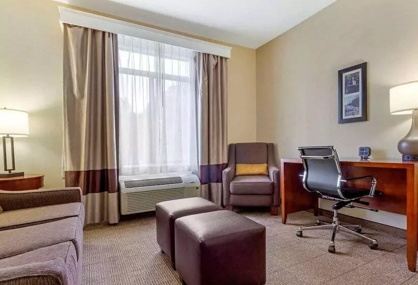 スイート, Comfort Suites Boone  University Area