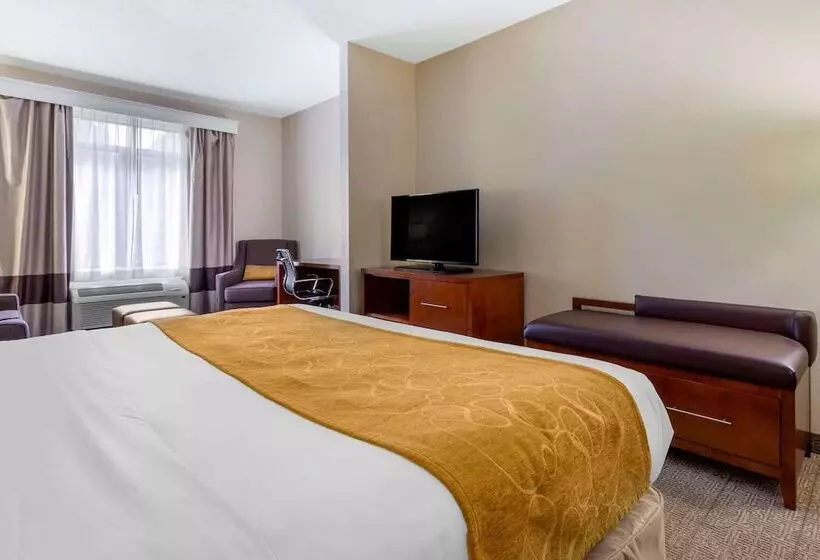 スイート, Comfort Suites Boone  University Area