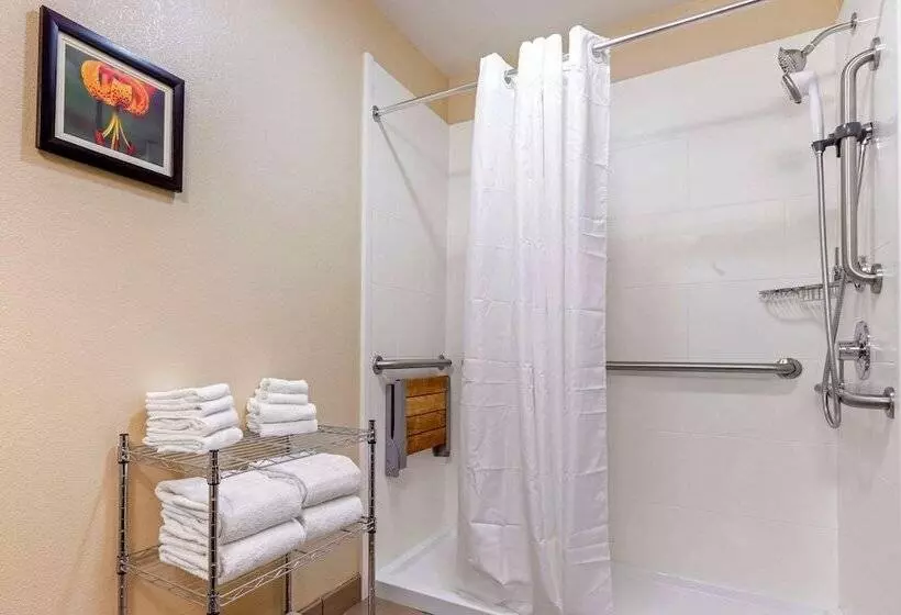 スイート, Comfort Suites Boone  University Area