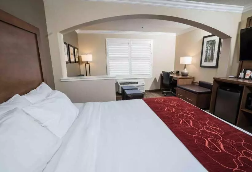 سوئیت با تخت بزرگ, Comfort Suites Fresno River Park