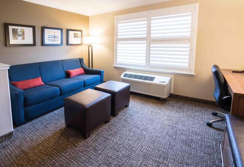 Люкс, Comfort Suites Fresno River Park