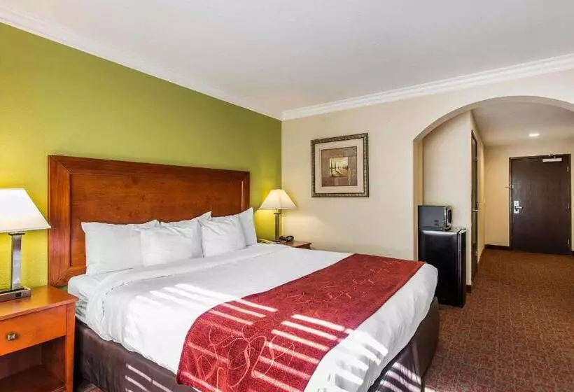 اتاق استاندارد با تخت بزرگ, Comfort Suites Fresno River Park