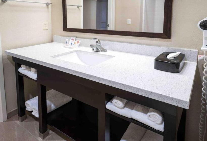 اتاق استاندارد با تخت بزرگ, Comfort Suites Fresno River Park