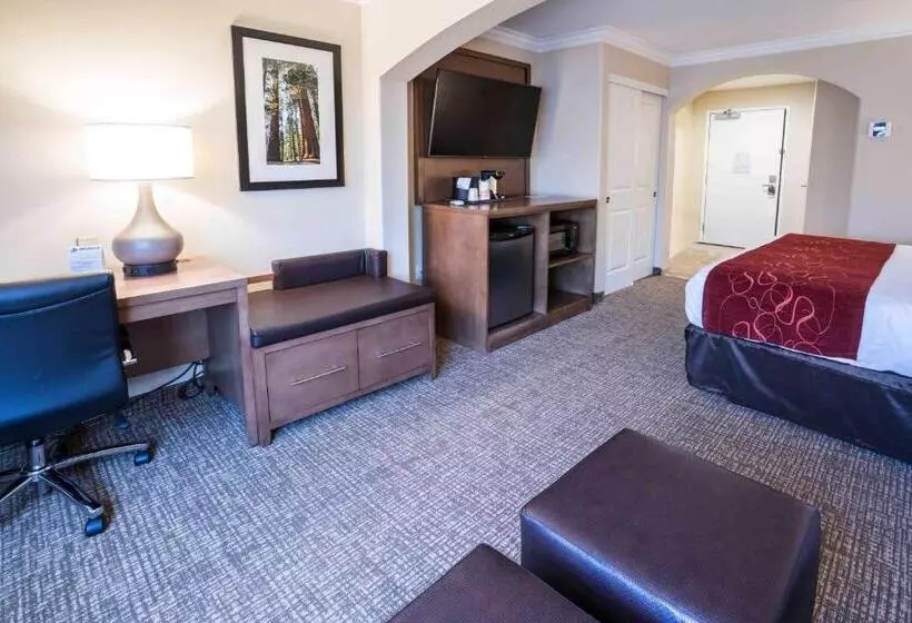 اتاق استاندارد با تخت بزرگ برای معلولان, Comfort Suites Fresno River Park