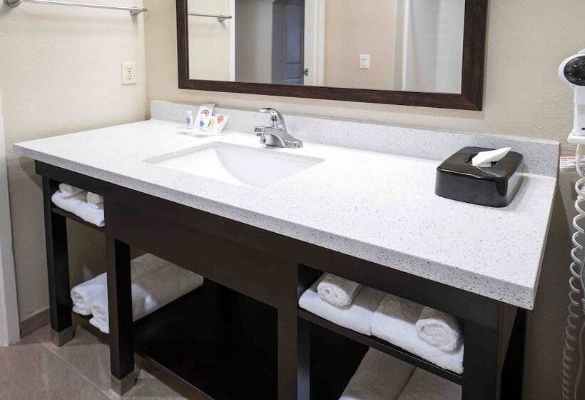 Люкс Адаптированный для Инвалидов, Comfort Suites Fresno River Park