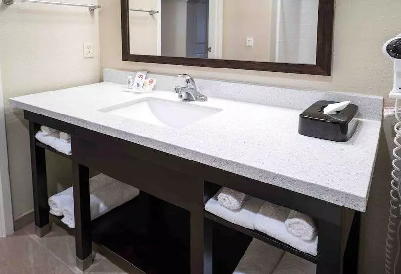 سوئیت برای معلولان, Comfort Suites Fresno River Park