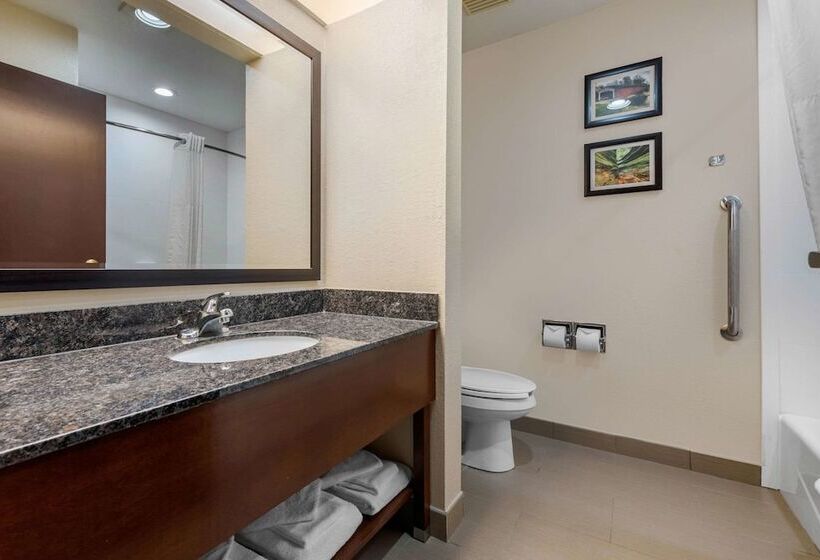 スイート, Comfort Suites Lafayette University Area
