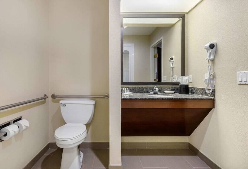 身障者適用スイートルーム, Comfort Suites Lafayette University Area