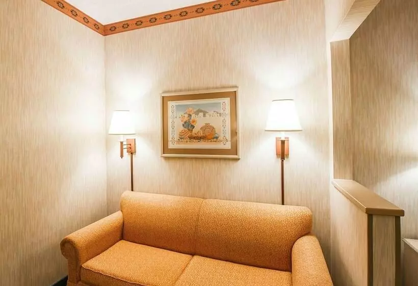 スイート, Comfort Suites Peoria Sports Complex