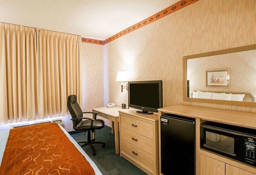 Люкс, Comfort Suites Peoria Sports Complex