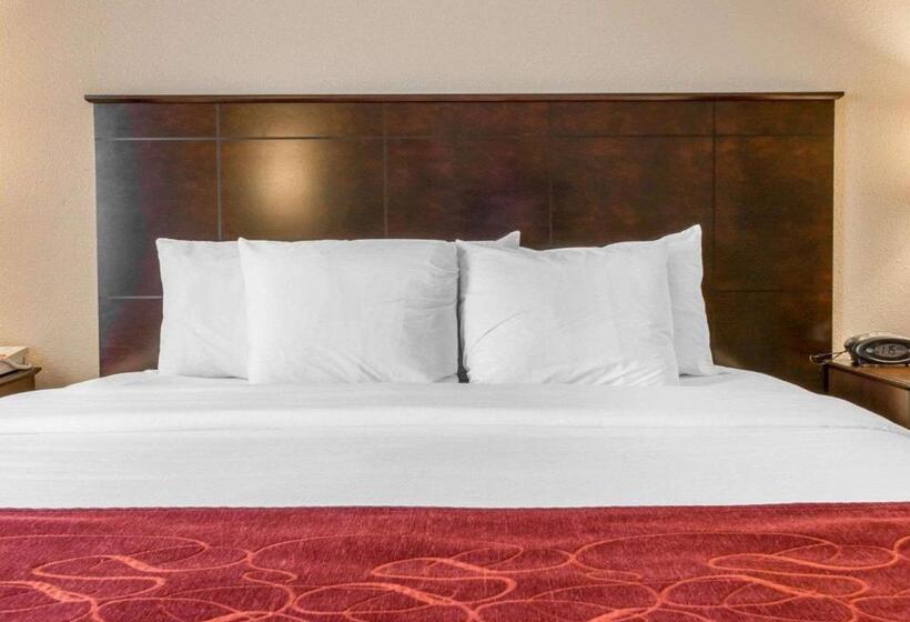 جناح سرير كينج, Comfort Suites Saginaw