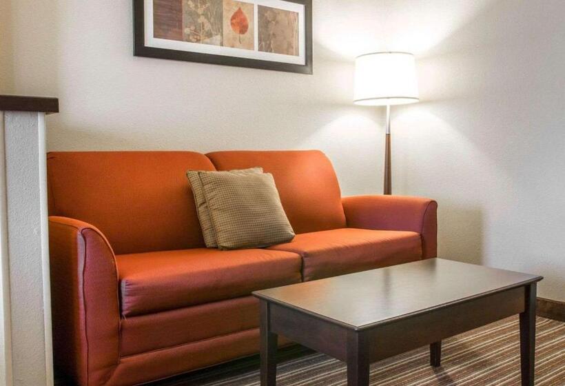 带大床的套房, Comfort Suites Saginaw