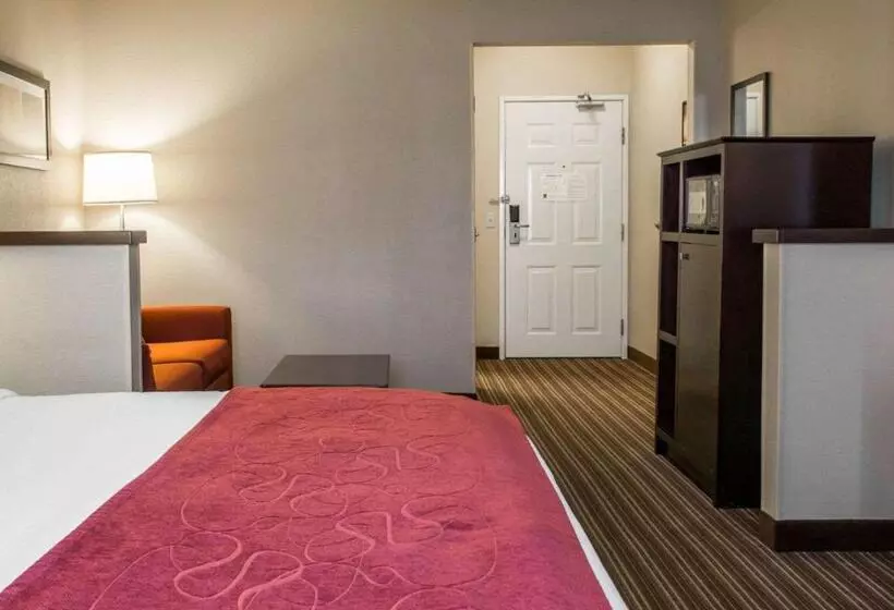 سوئیت با تخت بزرگ, Comfort Suites Saginaw