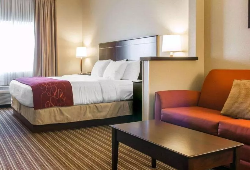 سوئیت با تخت بزرگ, Comfort Suites Saginaw
