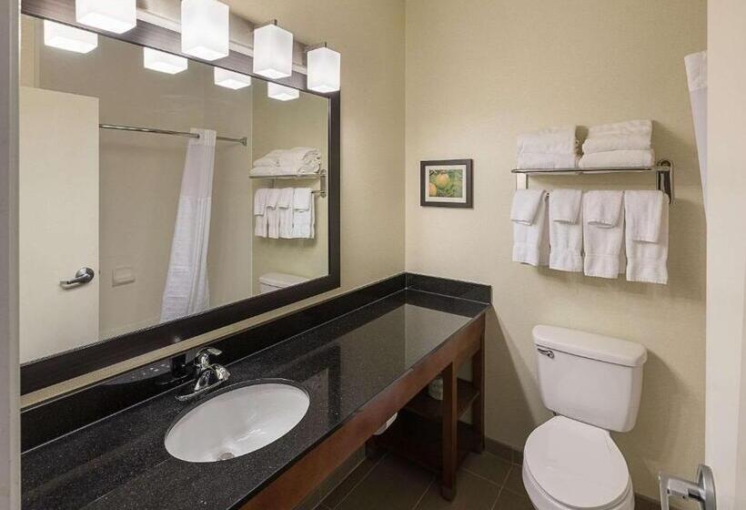 جناح سرير كينج, Comfort Suites Saginaw