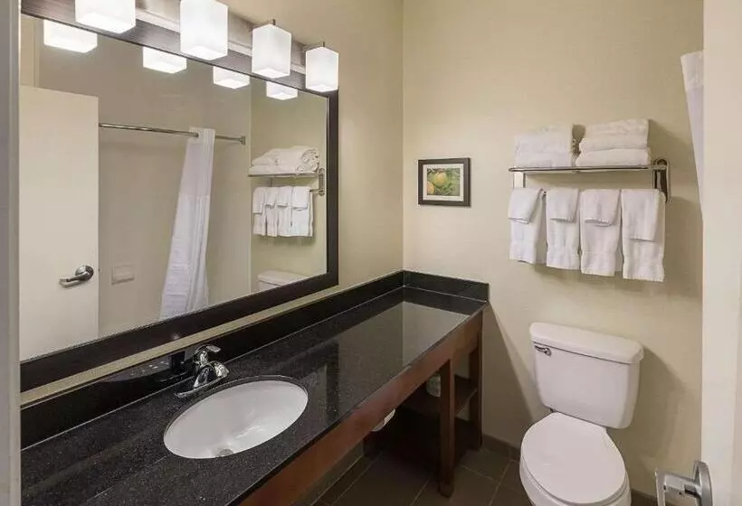 سوئیت برای معلولان, Comfort Suites Saginaw