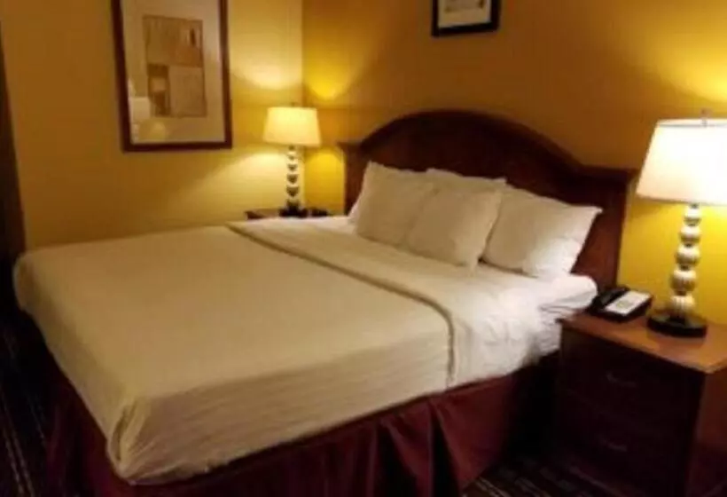 スタンダードシングルルーム, Comstock Inn & Conference Center