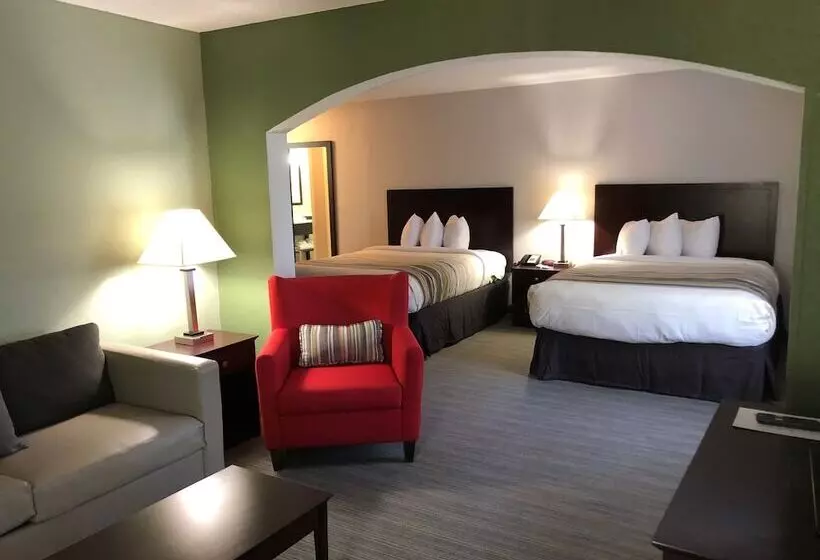 ハイドロマッサージバス付きスイート, Country Inn & Suites By Radisson, Greenville, Nc