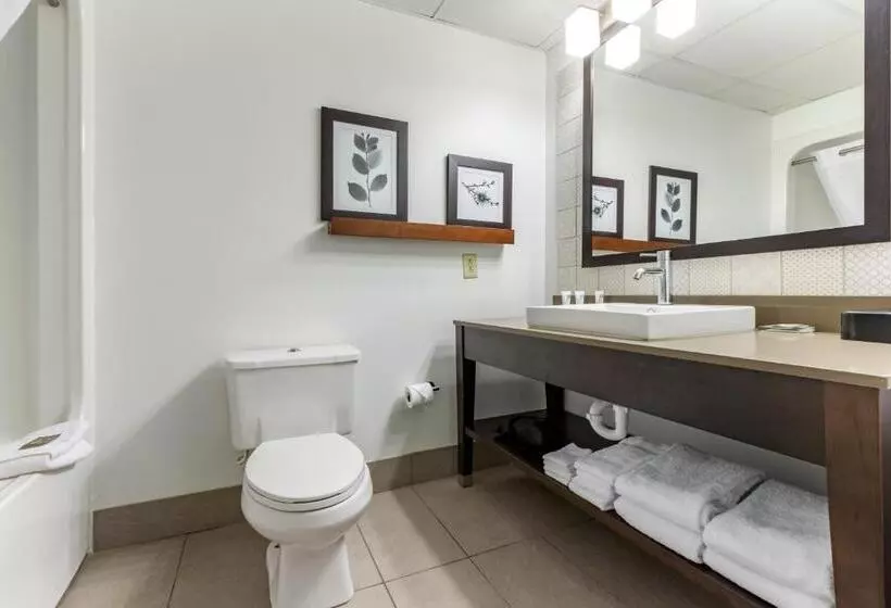 Standard-studio, Country Inn & Suites By Radisson, Lumberton, Nc