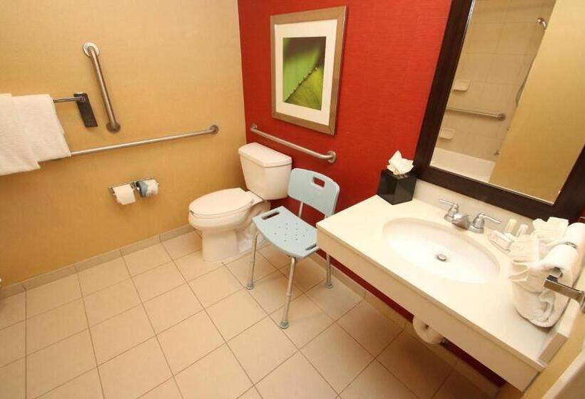 Номер Стандарт Адаптированный для Инвалидов, Courtyard Chesapeake Greenbrier