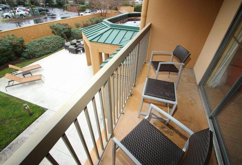 장애인을 위한 스탠다드 룸, Courtyard Chesapeake Greenbrier