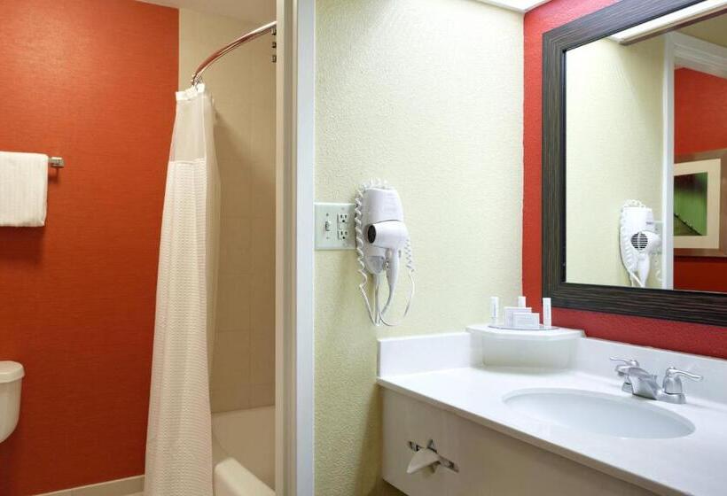 장애인을 위한 킹사이즈 침대 스탠다드 룸, Courtyard Chesapeake Greenbrier