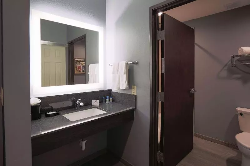 اتاق استاندارد با تخت بزرگ برای معلولان, Courtyard By Marriott Fort Collins