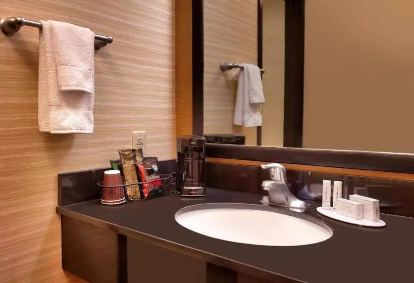 اتاق استاندارد با تخت بزرگ, Fairfield Inn & Suites By Marriott Salt Lake City Downtown