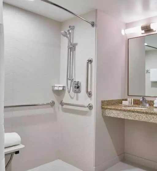 اتاق استاندارد با تخت بزرگ, Fairfield Inn & Suites By Marriott Albany Airport