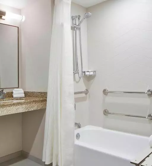 اتاق دلوکس مخصوص معلولین, Fairfield Inn & Suites By Marriott Albany Airport