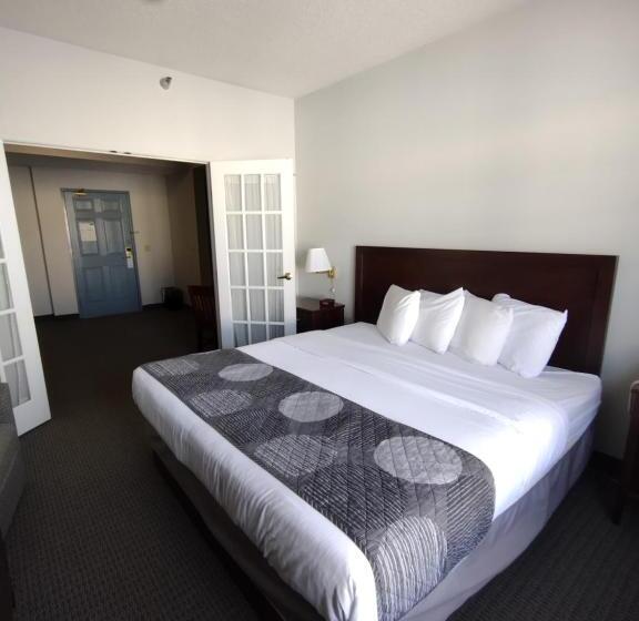 جناح مزود بجاكوزى, Hastings Country Inn