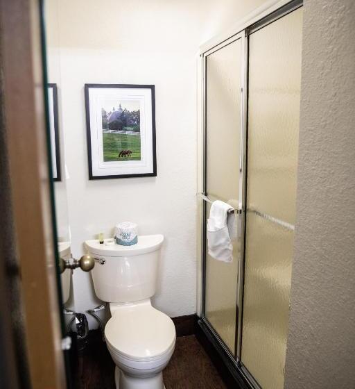 스탠다드 룸, Hatfield Inn