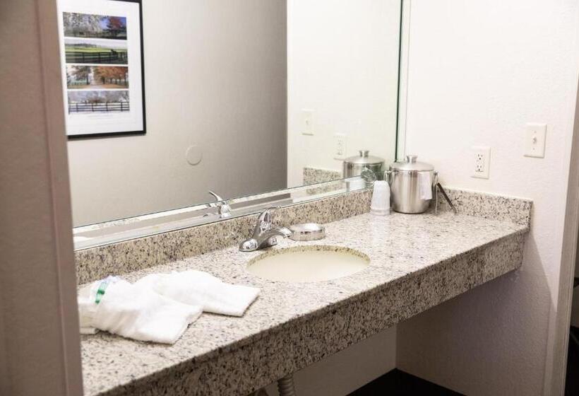 장애인을 위한 스탠다드 룸, Hatfield Inn