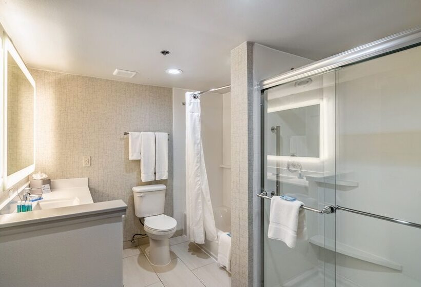 套房, Holiday Inn Express & Suites Camarillo, An Ihg