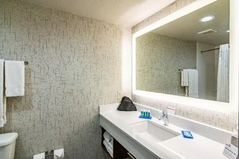 اتاق استاندارد با تخت بزرگ, Holiday Inn Express & Suites Camarillo, An Ihg