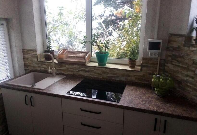 Standard-huone, Vyshenka Guest House