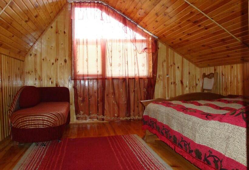 Talo 2 Makuuhuonetta, Vyshenka Guest House