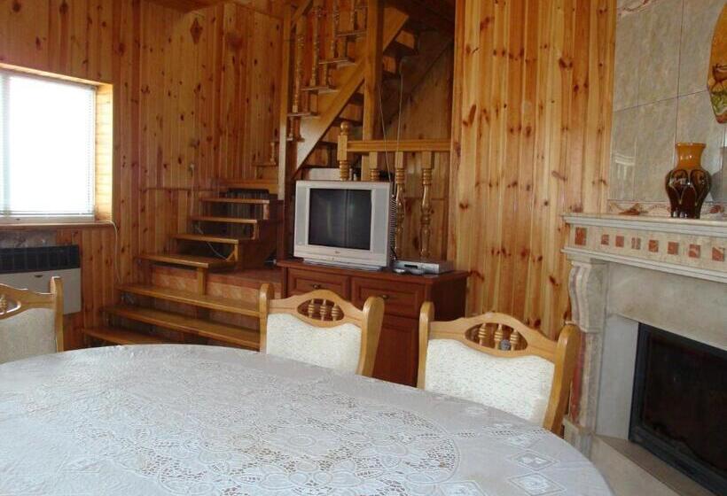 Talo 2 Makuuhuonetta, Vyshenka Guest House