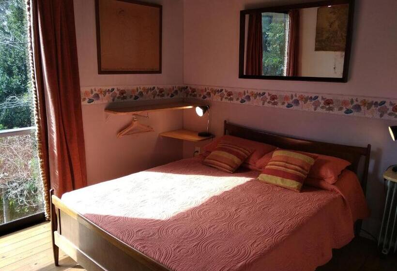 سوییت با چشمانداز باغ, Posada Irsis