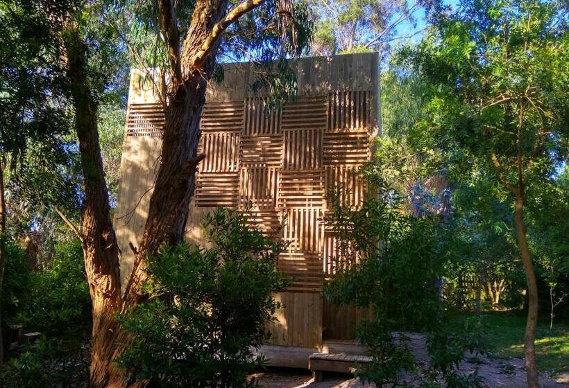 استودیوی استاندارد, Posada Irsis