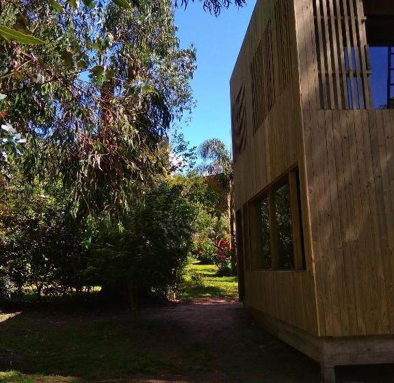 استودیوی استاندارد, Posada Irsis