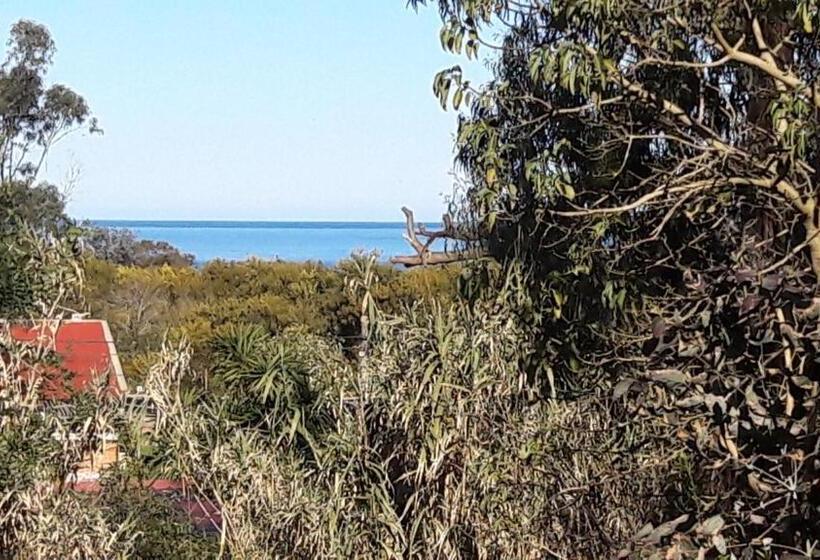 استودیو استاندارد با بالکن, Posada Irsis