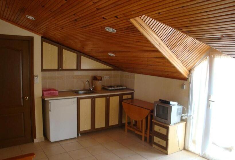 شقة غرفة واحدة مزودة بتراس, Everest Apart