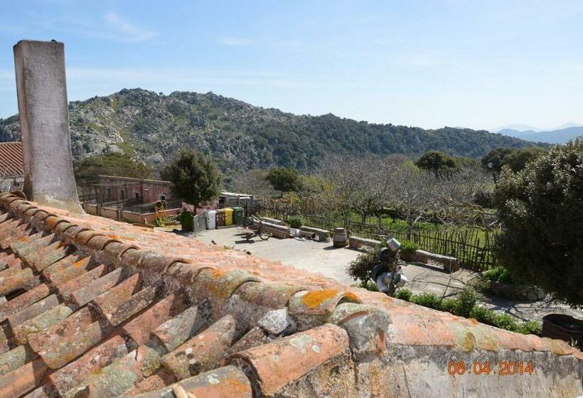 غرفة قياسية مطلّة علي الحديقة, Agriturismo Costiolu